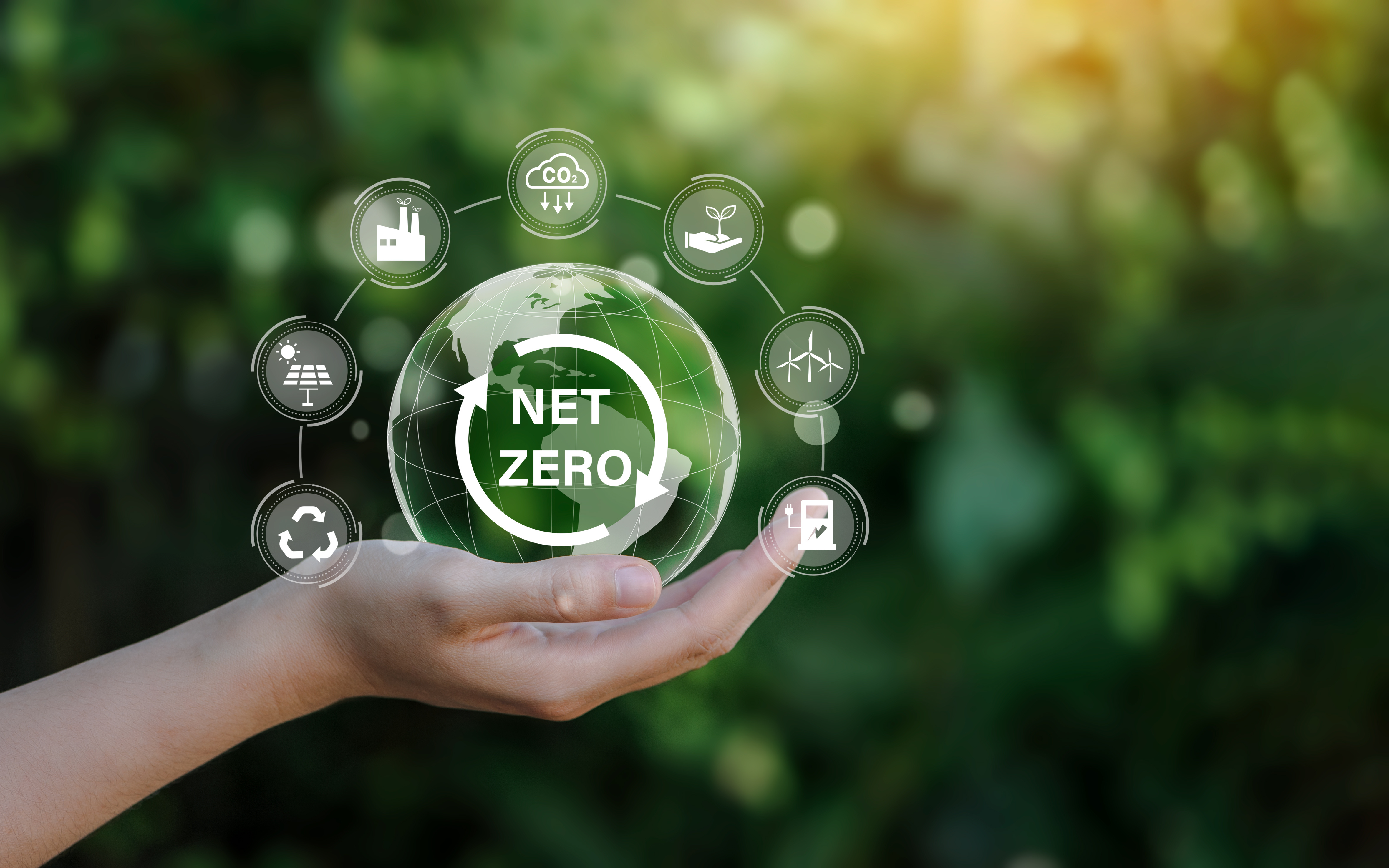 Net Zero consultation