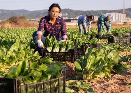 femalefarmer