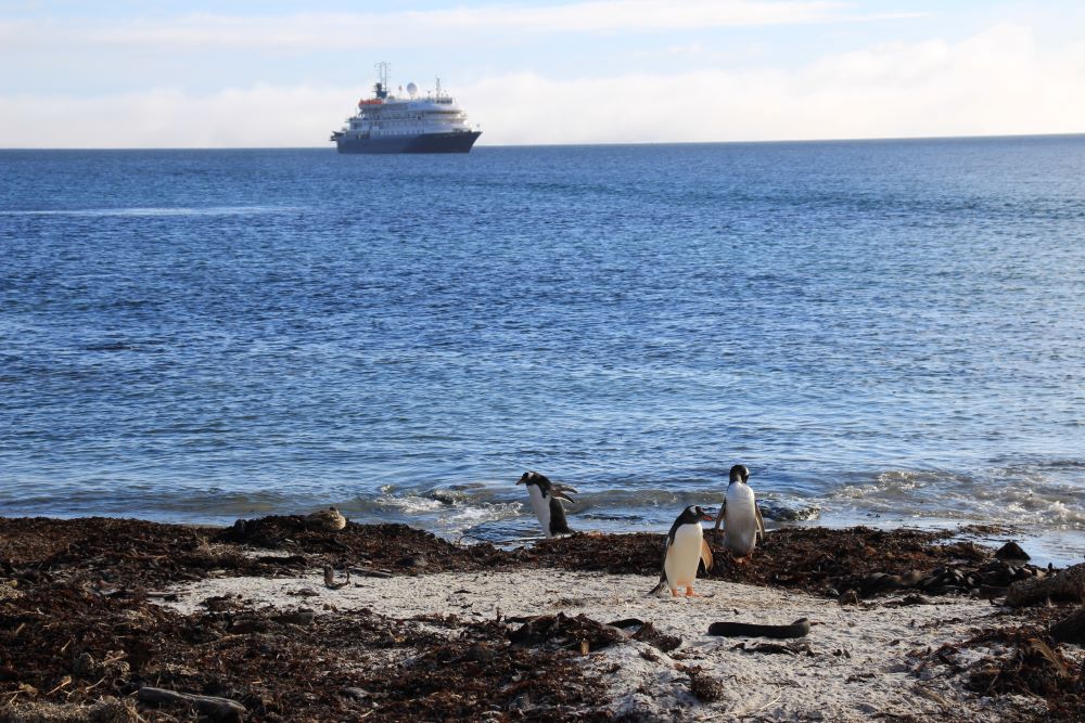 falkland islands