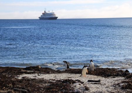 falkland_islands