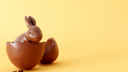 Easter Bunny