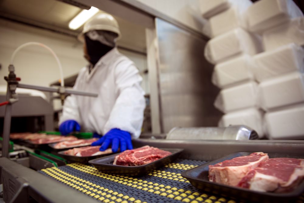 Worker in factory handling packaged meat on conveyer chain