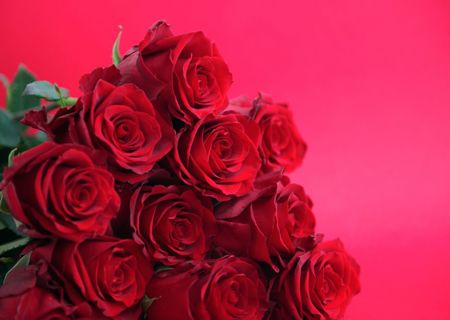 valentines_roses