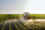 Fertiliser
